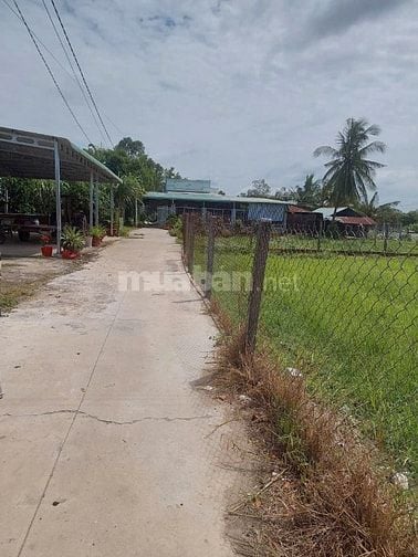 CHỈ 290 TRIỆU – SỞ HỮU NGAY LÔ ĐẤT THỔ CƯ VỊ TRÍ VÀNG TẠI LONG GIANG, 