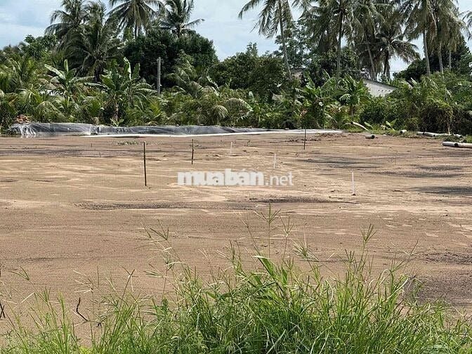 CẦN BÁN ĐẤT CHÍNH CHỦ – MẶT TIỀN QUỐC LỘ 54 – PHƯỜNG ĐÔNG THÀNH, TX.