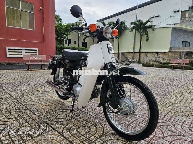 Honda Super Cub 81/86/50cc Kim Vàng Giọt Lệ NHẬT