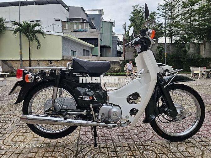 Honda Super Cub 81/86/50cc Kim Vàng Giọt Lệ NHẬT
