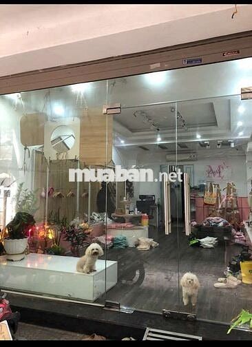 Tôi cần bán gấp nhà mặt ngõ Thái Hà 6tầng thang máy full nội thất.