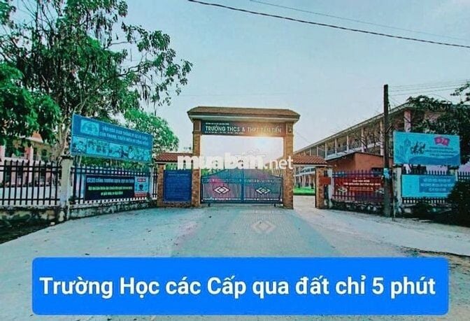 Chính Chủ Bán Đất Ngộp – 100m² Thổ Cư -  GIÁ CHỈ TỪ 155TR - SHR