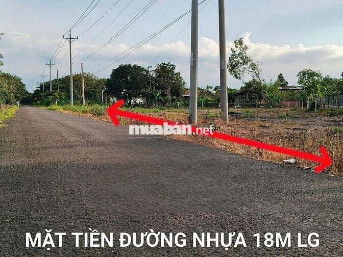 Chính Chủ Bán Đất Ngộp – 100m² Thổ Cư -  GIÁ CHỈ TỪ 155TR - SHR