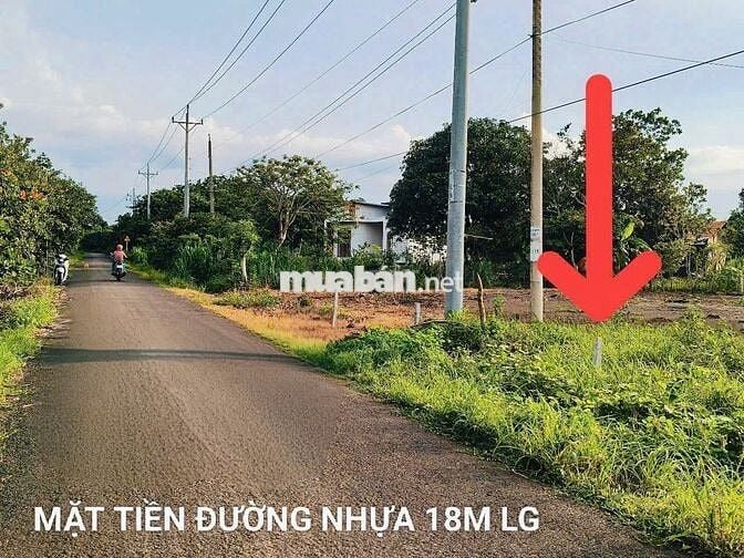 Chính Chủ Bán Đất Ngộp – 100m² Thổ Cư -  GIÁ CHỈ TỪ 155TR - SHR