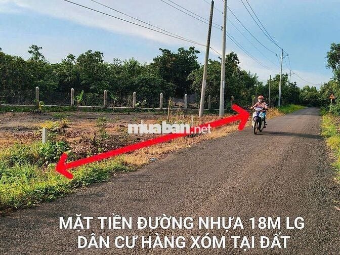 Chính Chủ Bán Đất Ngộp – 100m² Thổ Cư -  GIÁ CHỈ TỪ 155TR - SHR