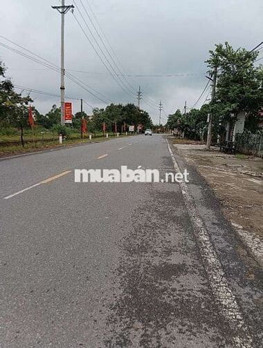 Bán Đất - Thái Lai(Minh Trí) - 358M2  - 2,4Tỷ - Đường thông Ô Tô