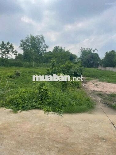 Đất thổ 200m2.Giá hời 600tr tại Suối Sâu, An Tịnh, Trảng Bàng,Tây Ninh