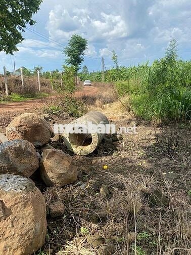 cần bán gấp 1 sào đất trồng cây lâu năm