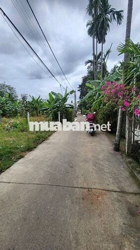 🚗 ĐẤT AN THẠNH 10 – 89m² (TC 60m²) – GIÁ 2,1 TỶ