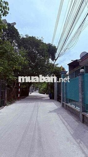 BÁN ĐÂT (7,7 x 15) BÌNH NHÂM ĐƯỜNG OTO