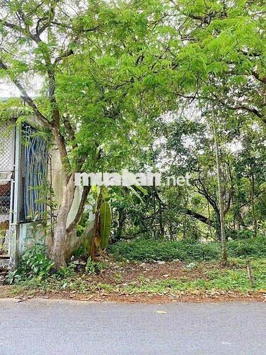 Bán nền mặt tiền đường Đinh Công Chánh