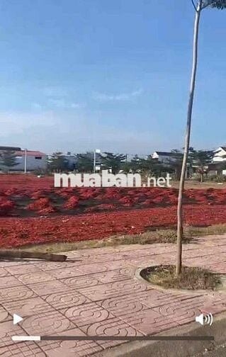 🌟 BÁN ĐẤT ĐẸP THỔ CƯ 150m2 – TRUNG TÂM CÁT KHÁNH, TỈNH BÌNH ĐỊNH