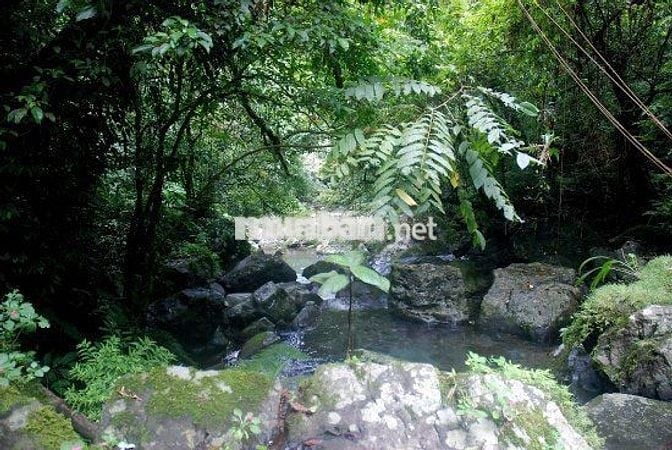 ÁN LÔ ĐẤT NGHỈ DƯỠNG TUYỆT ĐẸP – VIEW SUỐI – CÁCH QL20 CHỈ 500M
