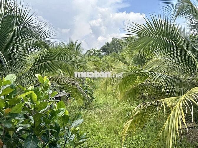 ÁN LÔ ĐẤT NGHỈ DƯỠNG TUYỆT ĐẸP – VIEW SUỐI – CÁCH QL20 CHỈ 500M