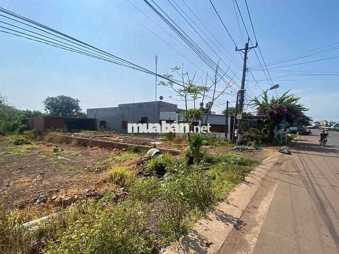 Đất Nền Mặt Tiềng Nhựa 42m/Phường Chơn Thành