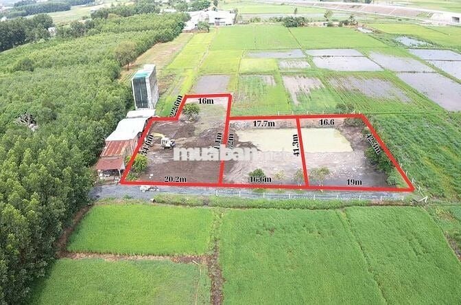 1000m đất Vĩnh Thanh, Nhơn Trạch có thổ cư