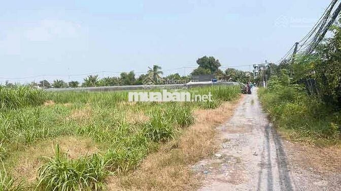 ĐẤT ĐẦU TƯ TIỀM NĂNG SINH LỜI Ở HÓC MÔN 75m2 giá chỉ 1 tỷ 550