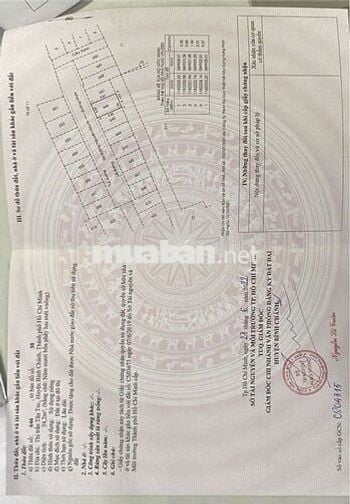 🆘🆘 ĐẤT NỀN THỔ CƯ ĐƯỜNG NHỰA 8M GẦN TRUNG TÂM HUYỆN BÌNH CHÁNH