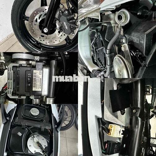 sh ý 103 siêu cọp