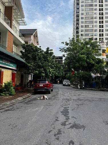 BÁN NHÀ NGÕ 102 TRƯỜNG CHINH, PHƯƠNG MAI, ĐỐNG ĐA HÀ NỘI