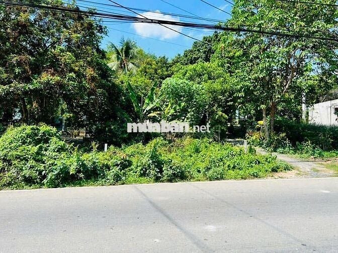 CHÚ BA CÓ NHỜ GỬI BÁN LÔ ĐẤT 359M2/500TR 200M2 THỔ CƯ SHR MT ĐƯỜNG LỚN
