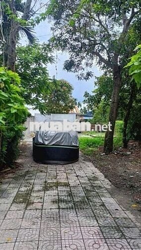🌿 BÁN ĐẤT MT BN73 THÔNG BN74 – GIÁ 2 TỶ 650 – DT 99,5m²