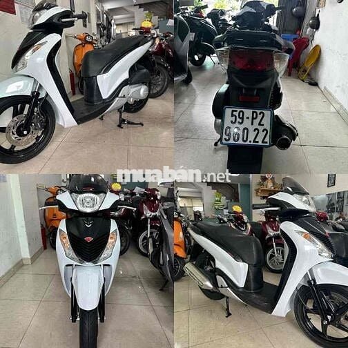 sh ý 103 siêu cọp