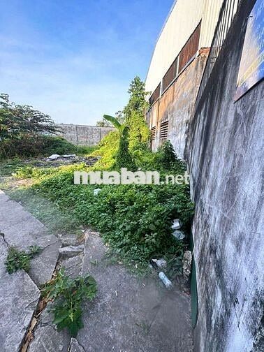 🆘🆘 98m2 ĐẤT THỔ CƯ HẺM BA GÁC GIÁ TỐT TÂN TÚC