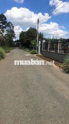 Đất Nền Sổ Riêng 20x25 Nằm Cạnh KCN Giang Điền
