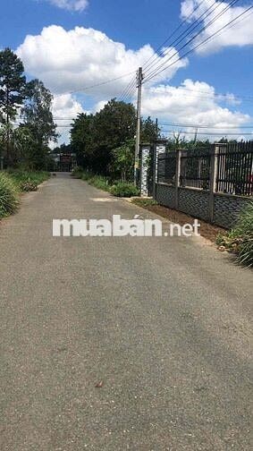 Đất Nền Sổ Riêng 20x25 Nằm Cạnh KCN Giang Điền