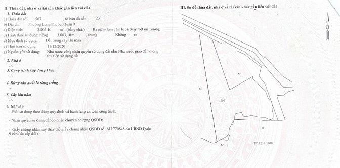 CHÍNH CHỦ GỬI BÁN LÔ ĐẤT LỚN HIẾM CÓ TẠI LONG PHƯỚC - THỦ ĐỨC (QUẬN 