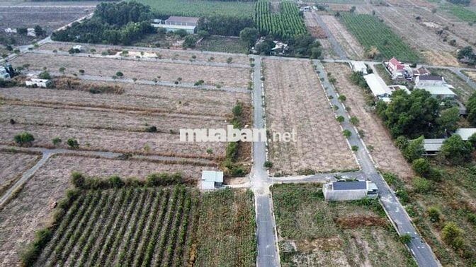 Đất Nền Sổ Riêng 20x25 Nằm Cạnh KCN Giang Điền