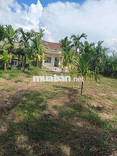 Bán 3 lô đất liền kề Tư Nghĩa Quảng Ngãi