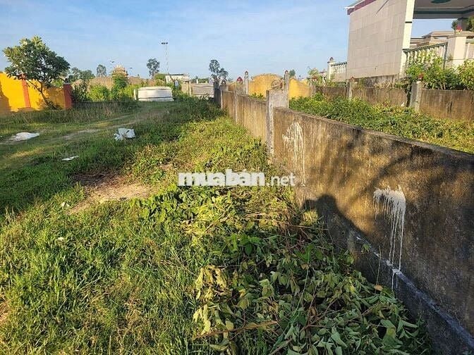 Cần bán 100m2 đất nghĩa trang Hòa Khương
