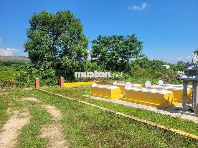 Cần bán 100m2 đất nghĩa trang Hòa Khương