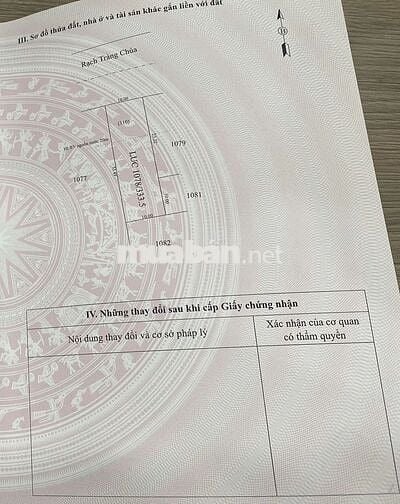Chủ ngộp bán nhà diện tích 335m2 An Tịnh, thị xã Trảng bàng giá 885tr