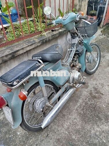 Xe cub 81 50cc