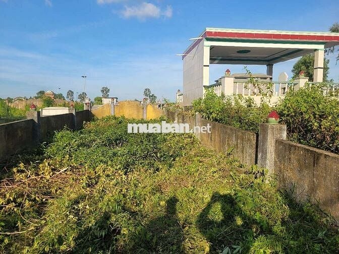 Cần bán 100m2 đất nghĩa trang Hòa Khương