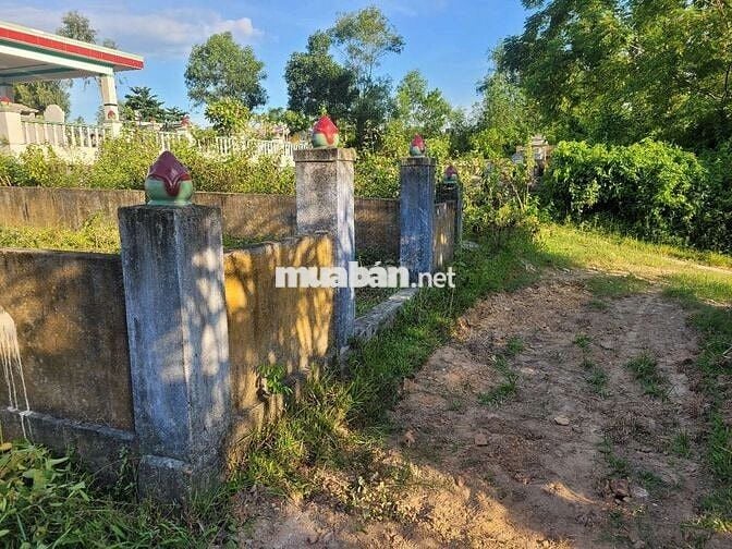 Cần bán 100m2 đất nghĩa trang Hòa Khương