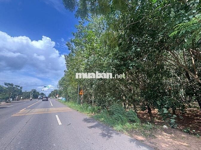 Bán hơn 1 Ha đất mặt tiền Võ Văn Kiệt, Phường Hắc Dịch, DT Dự án