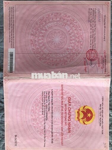 261M2 PHƯỚC VĨNH AN CỦ CHI 1TY768 SHR CỰC KÌ ĐẸP - THÔNG THOÁNG