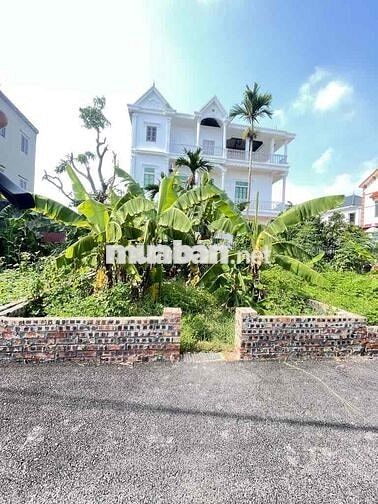👉 BÁN ĐẤT THÔN ĐỒNG - NGUYÊN KHÊ - XÃ PHÚC THỊNH MỚI 👉DT 41,5m : mặt t