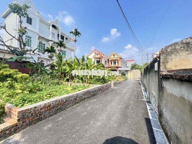 👉 BÁN ĐẤT THÔN ĐỒNG - NGUYÊN KHÊ - XÃ PHÚC THỊNH MỚI 👉DT 41,5m : mặt t