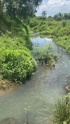Bán đất mặt tiền đường nhựa sau giáp suối giá tốt