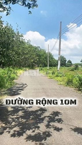 Bán đất mặt tiền đường nhựa sau giáp suối giá tốt