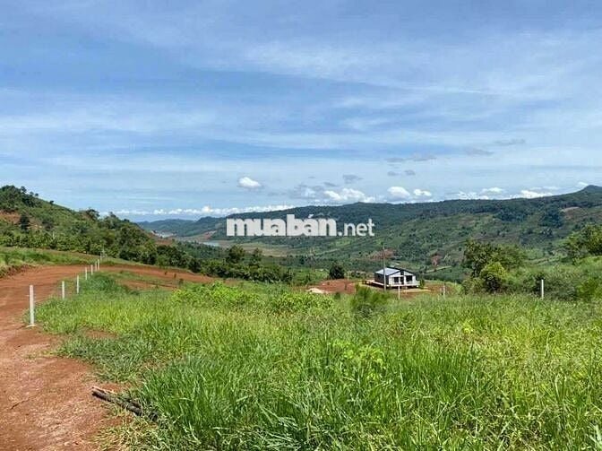 🌿 BÁN ĐẤT VIEW HỒ NGỌC – LỘC TÂN, BẢO LỘC 🌿