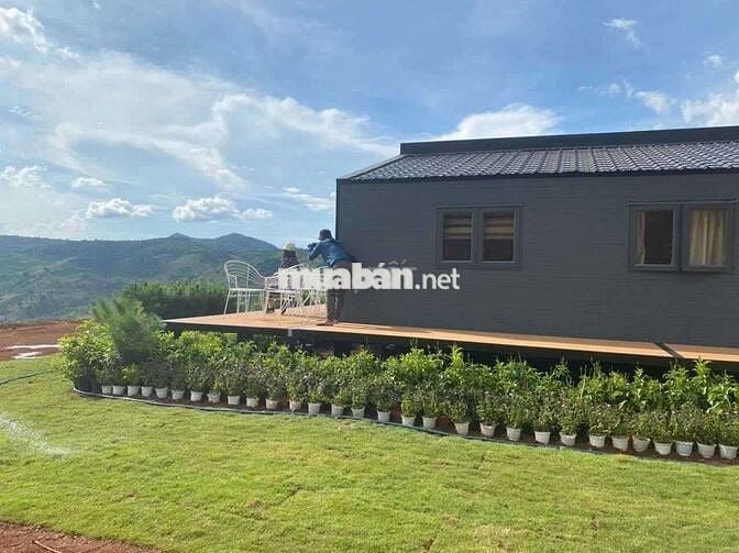 🌿 BÁN ĐẤT VIEW HỒ NGỌC – LỘC TÂN, BẢO LỘC 🌿