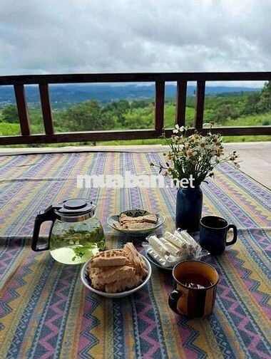 🌿 BÁN ĐẤT VIEW HỒ NGỌC – LỘC TÂN, BẢO LỘC 🌿