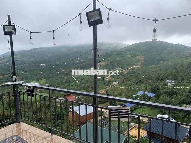 Booking Đợt 1 - Giá F0 - 1,95 tỷ/ Lô 1000m2 - Cách Cao Tốc 8p
