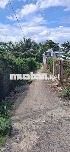 Bán Gấp đất mặt tiền đường Đoàn Nguyên Tuấn, Bình Chánh.